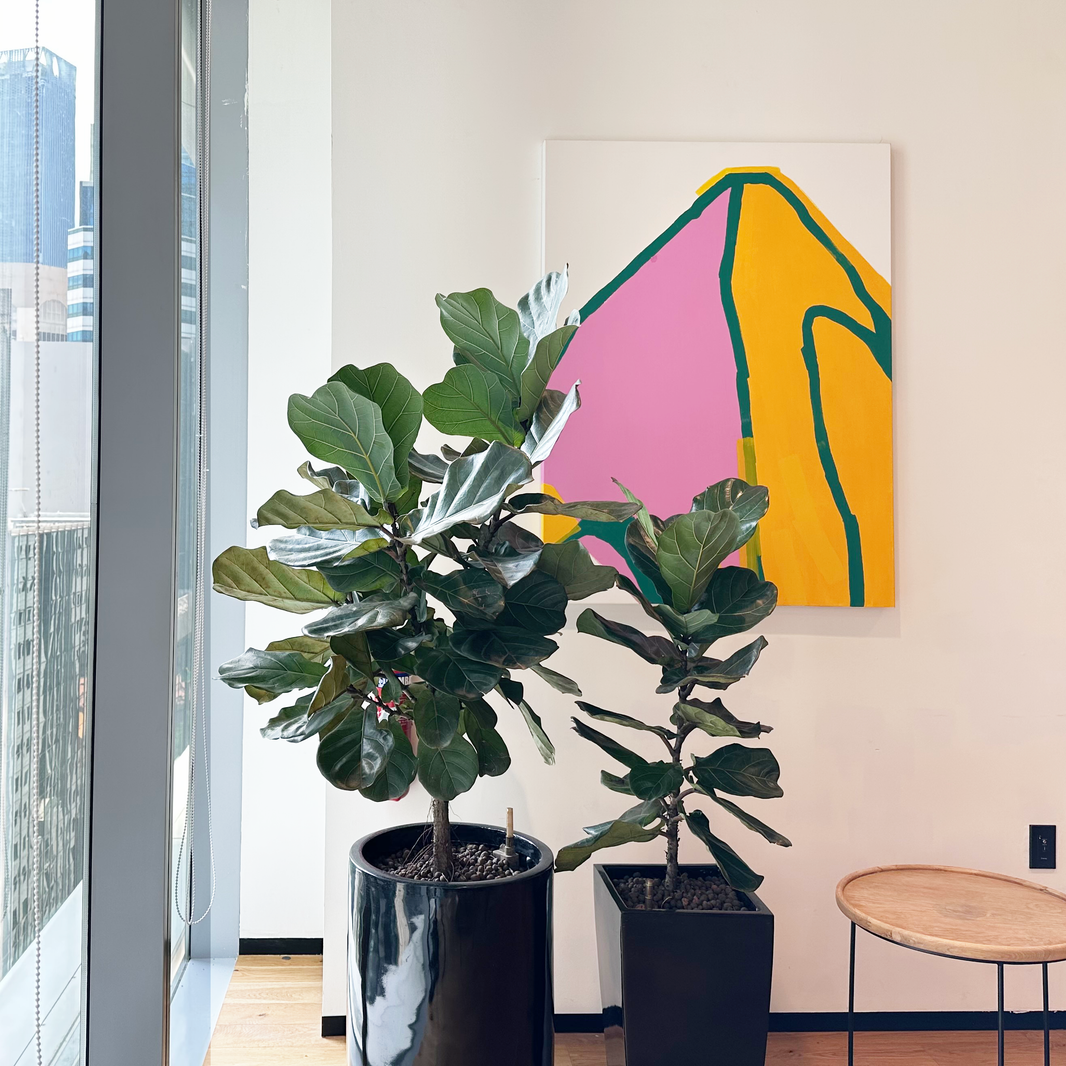 The Transformative Power of Houseplants in Home Design